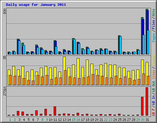 Daily usage for January 2011