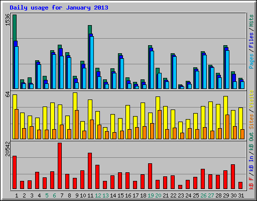 Daily usage for January 2013