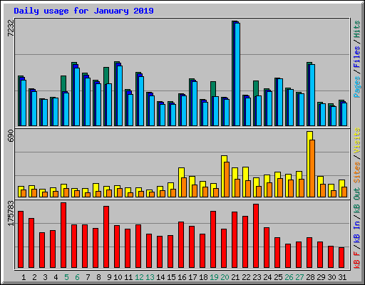 Daily usage for January 2019