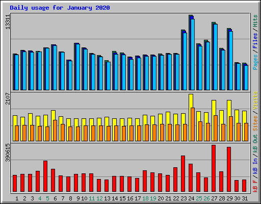 Daily usage for January 2020