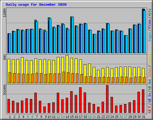 Daily usage for December 2020