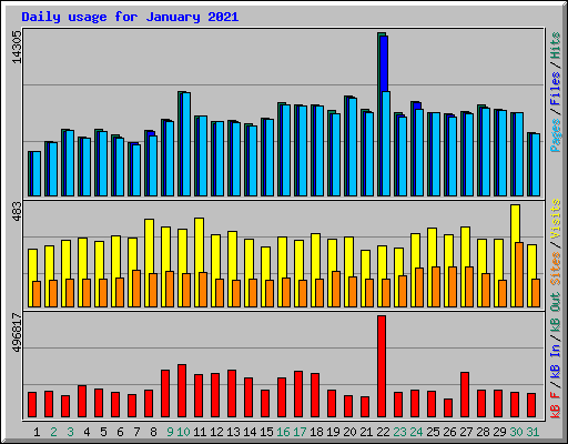 Daily usage for January 2021