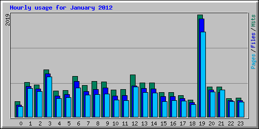 Hourly usage for January 2012