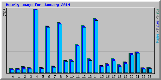 Hourly usage for January 2014