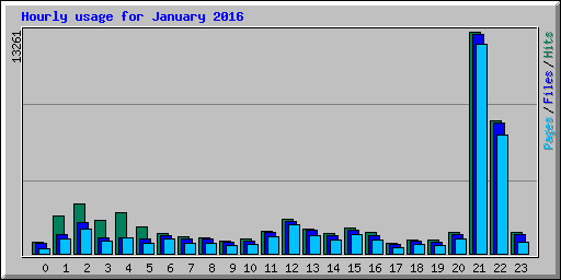 Hourly usage for January 2016