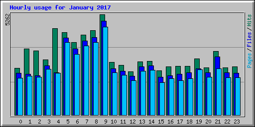 Hourly usage for January 2017