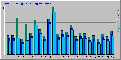 Hourly usage for August 2017