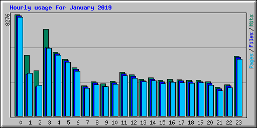 Hourly usage for January 2019