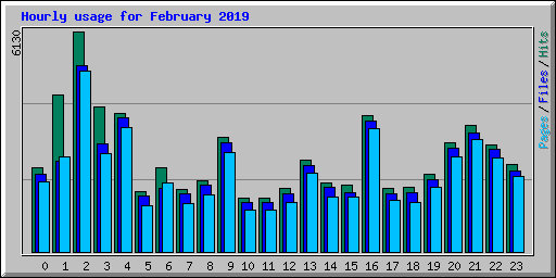 Hourly usage for February 2019