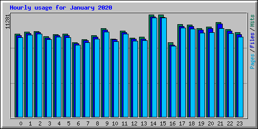 Hourly usage for January 2020