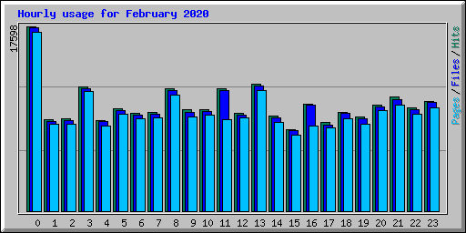 Hourly usage for February 2020