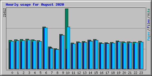 Hourly usage for August 2020