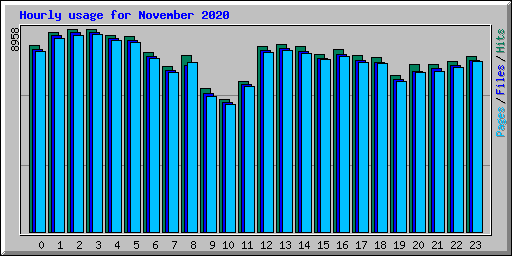 Hourly usage for November 2020