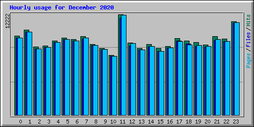 Hourly usage for December 2020