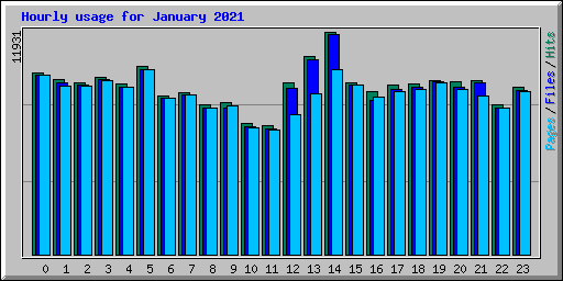 Hourly usage for January 2021