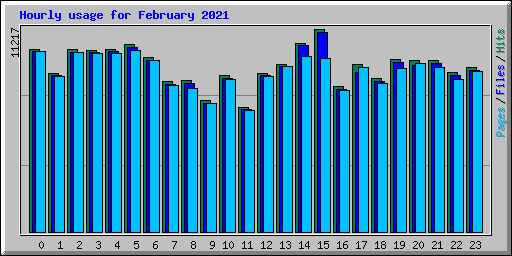 Hourly usage for February 2021