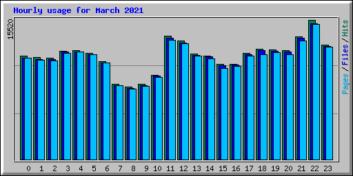 Hourly usage for March 2021