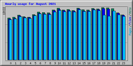 Hourly usage for August 2021