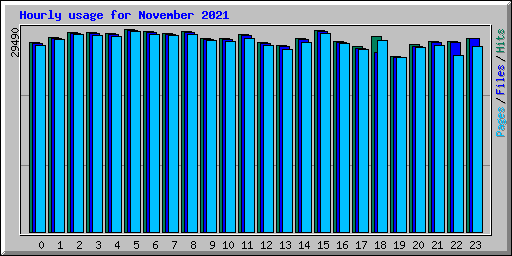 Hourly usage for November 2021