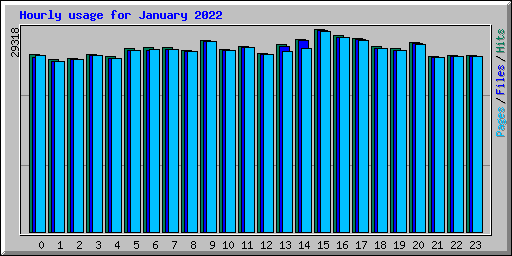 Hourly usage for January 2022