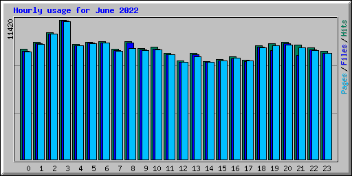 Hourly usage for June 2022