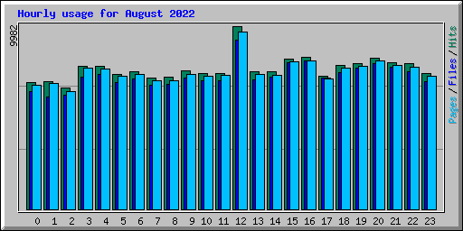 Hourly usage for August 2022